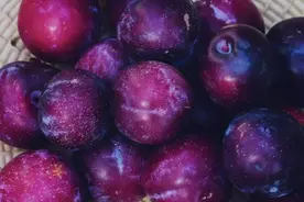 做梦梦到摘大李子吃#周公解梦  不甜不酸 这是啥意思视频封面