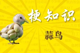 “蒜鸟”是什么梗？#蒜鸟是什么梗 #蒜鸟 #武汉和平鸟  #梗科普