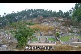 阴宅对后人的影响！#风水格局 ##地理视频封面