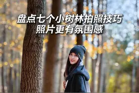 盘点七个树林拍照技巧，让你的照片更有氛围感 #手机拍摄技巧 #自拍技巧 #构图技巧 #银杏黄了 #拍树怎么拍好看
