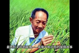 最质朴无华的爱情——袁隆平和邓哲的爱情故事