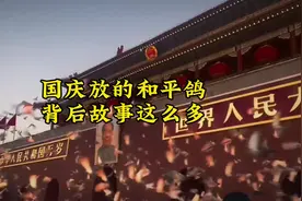 天安门国庆节放的和平鸽，背后故事居然这么多！ #国庆节 #和平鸽视频封面