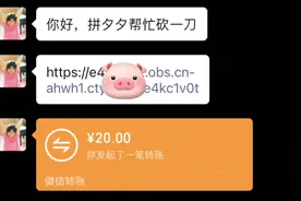 拼夕夕砍一刀成功800#聊天记录 #细思极恐