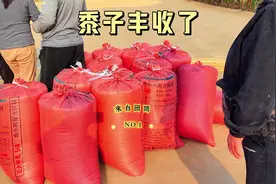 黍子丰收了#丰收的季节#黍子 #打谷场