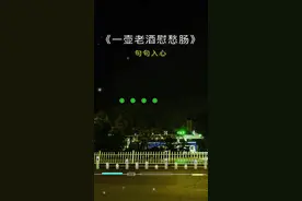 一壶老酒慰愁肠….视频封面