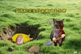 #猫meme #歌曲第二类我 #细思极恐视频封面