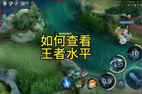 如何查看王者水平#上分 #游戏日常 #巅峰赛 #小国标 #国服视频封面