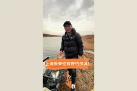 你打了几天龟了？看看我今天鱼获怎么样！ #原来钓鱼才是抖音运动顶流 #钓鱼人 #钓鱼 #野钓鲫鱼 #户外视频封面