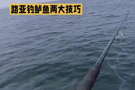 #上钓鱼热门话题 路亚钓鲈鱼两大技巧，选饵选位大揭秘#路亚视频封面