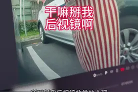 为什么要掰我的后视镜啊，因为不知道你在车里，很合理吧。我在车里看着他掰我的电动后视镜，都没来得及叫，你说说你说说。#小米su7 #后视镜 #每天一个用车知识 #行车记录仪视角 #小米汽车视频封面