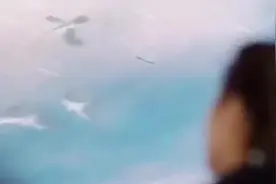 人这一辈子就是一个过程 没有永远盛开的花 也没有不老的青春视频封面