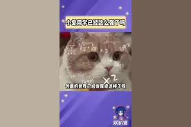 有了这么强的小爱同学，这谁还分得清我和爱因斯坦啊！#小爱同学 #小爱大模型