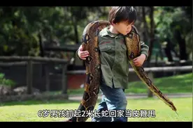 #上热门 #6岁男孩抓起2米长蛇回家当皮鞭甩@DOU+小助手视频封面