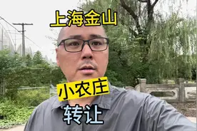 上海金山区项目：12亩小农庄转让，有兴趣的朋友可以了解下视频封面