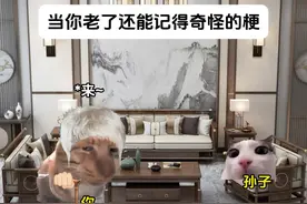 当你老了还记得奇怪的梗#猫meme #内容过于真实 #精神状态belike
