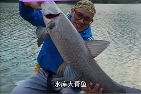 桃源水库钓巨物，荒野垂钓第70天，冬天钓大鱼选位和做窝是重中之中#户外 #野钓 #荒野垂钓 #2025dou来钓鱼 #原来钓鱼才是抖音运动顶流视频封面