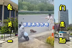 女子出乎意料救小狗，谁知后续狗狗的感恩竟如此惊人视频封面