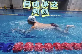 优雅 永不过时  你知道狗刨的好处吗🤔#抖音原创 #狗刨 #游泳技巧