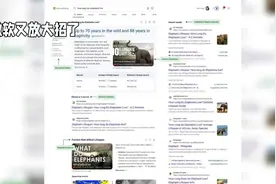微软bing搜索结果引入Al摘要功能 #newbing视频封面