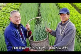 #日本#青苗计划 #农村老龄化 #农村回流视频封面