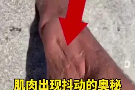 肌肉出现抖动的奥秘 #有趣的冷知识 #科普一下 #热门推荐 #开眼界了视频封面