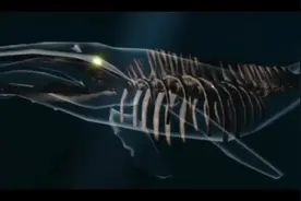 the mimic book 2预告，6个月前拿太阳热一热#roblox #恐怖游戏