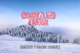 #上热门话题诗词 《沁园春.雪》#沁园春雪朗诵完整版视频封面
