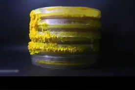 让科学家不可思议的黏菌有多神奇#科普 #我在抖音涨知识 #神奇大自然 #百科知识 #科普一下