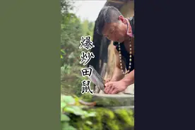 破坏庄稼的田鼠太可恶了！今天就来做一道钻三豹炒田鼠！！#记录农村生活 #农村生活 #我的乡村生活 #新农人计划 #农村美食视频封面