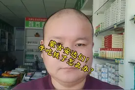 蒙古安达们！ 牛吃了铁丝铁钉怎么办😱？#每天分享牛羊养殖小知识