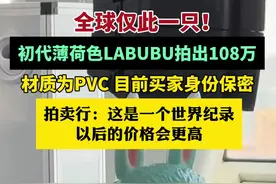 全球唯一一只薄荷色Labubu被拍出了108万（看看新闻）