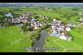 了解一下宅基地分配视频封面