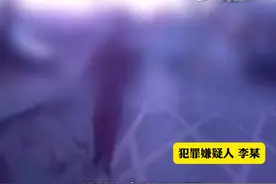 酒驾肇事逃逸 民警半小时擒获，酒后驾车反应慢 但是跑路还挺快，春节都不能回家过年了（记者：杨明）视频封面