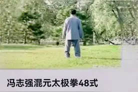 冯志强大师混元48式