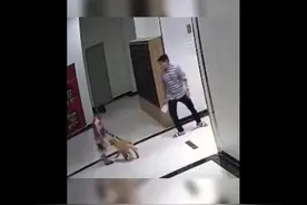 不拴绳的狗攻击小孩，爸爸保护儿子踢开狗，被狗主人一拳打在脸上视频封面