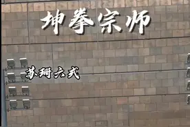 你一句来搞笑的，我练了一年！#程坤 #坤拳 #坤门 #功夫