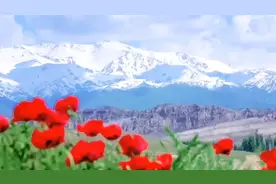 #音乐分享 #好歌推荐 #心诚则灵 #国泰民安祈福视频封面