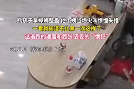 熊孩子 蟑螂突袭！小姨当场尖叫到破防！视频封面