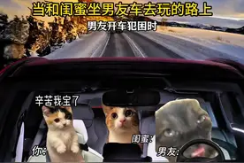 当和闺蜜坐男友车去玩的路上 #猫咪表情包 #情侣 #情侣日常 #恋爱