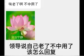 领导说自己老了不中用了该怎么回复#高情商说话技巧视频封面