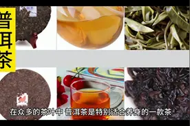 普洱茶#普洱熟茶的功效与作用 #养生#健康视频封面