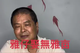雅仔娶無雅亩#揭阳#普宁#潮州#汕头#潮汕视频封面