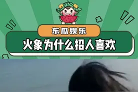 火象为什么招人喜欢？#万万没想到 #内容过于真实 #娱乐评论大赏视频封面