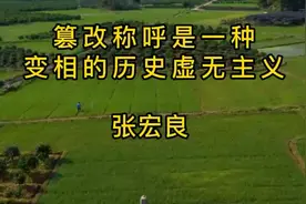 篡改称呼是一种变相的历史虚无主义视频封面