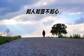 #胖猫 #走心文案 #深夜语录 #成年人世界 #共鸣