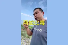 遇见蛇你们怎么办？#毒蛇 #血清解蛇毒的原理 #五步蛇毒#被毒蛇咬伤怎么办