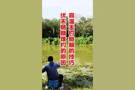 高温天为何鲢鳙难钓？夏季钓鲢鳙的技巧 #创作灵感 #浮钓鲢鳙 #钓鲢鳙技巧 #新手学抽鲢鳙 #抽鲢鳙 @抖音短视频