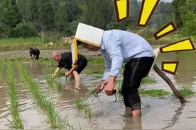 老妈是只让周兵放火，不准百姓点灯！@李老酸和宝器 #看一遍笑一遍