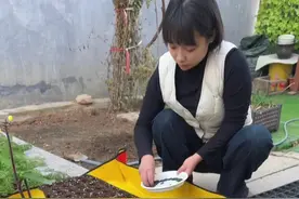 蔬菜育苗时间表#育苗 #种植小技巧 #来抖音学农技 #薇薇爱种植视频封面