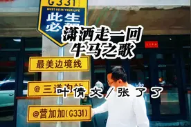 《潇洒走一回》是叶倩文于1991年发行的经典歌曲，由陈大力视频封面